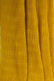 Pleated Shanaya Chiffon - saraaha.com - A line Dresses, Casual, casual Wear, Chiffon, Drapable, Dull and Pastel Colors, Festive  And Formal wear, Festive Wear, Formal Wear, Gowns, Light Weight, Pleated, Polyester, Sarees, Sheer, Skirts, Soft, Stripe Pattern, Tops and Blouses, Wide Color Variety, women wear